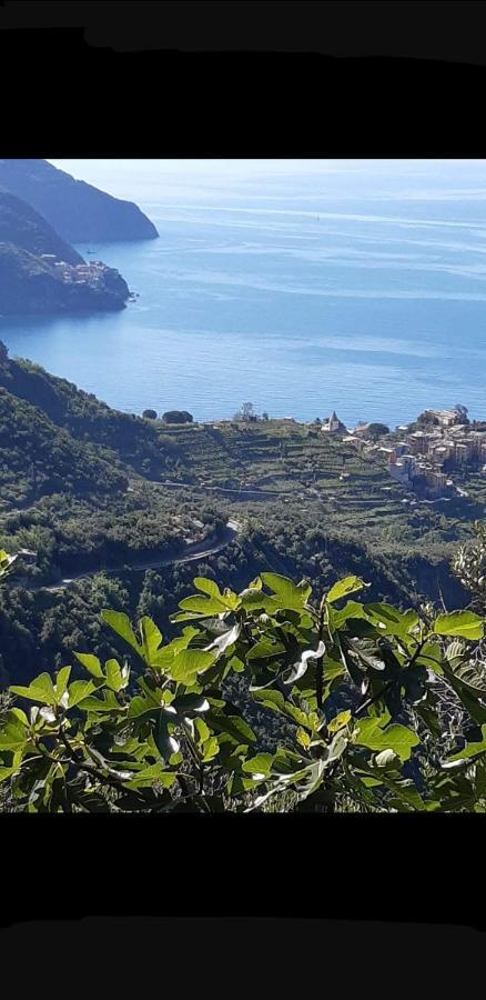 Affittacamere Il Timone Corniglia Dış mekan fotoğraf