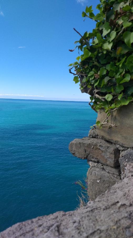 Affittacamere Il Timone Corniglia Dış mekan fotoğraf