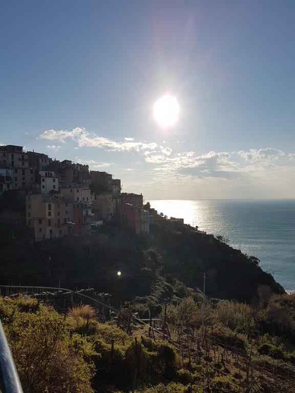 Affittacamere Il Timone Corniglia Dış mekan fotoğraf