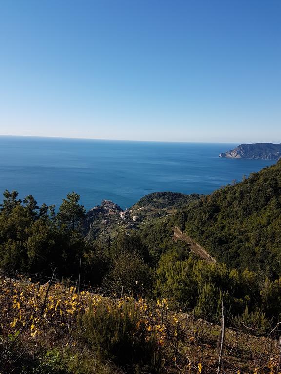 Affittacamere Il Timone Corniglia Dış mekan fotoğraf