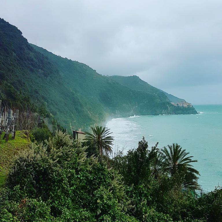 Affittacamere Il Timone Corniglia Dış mekan fotoğraf