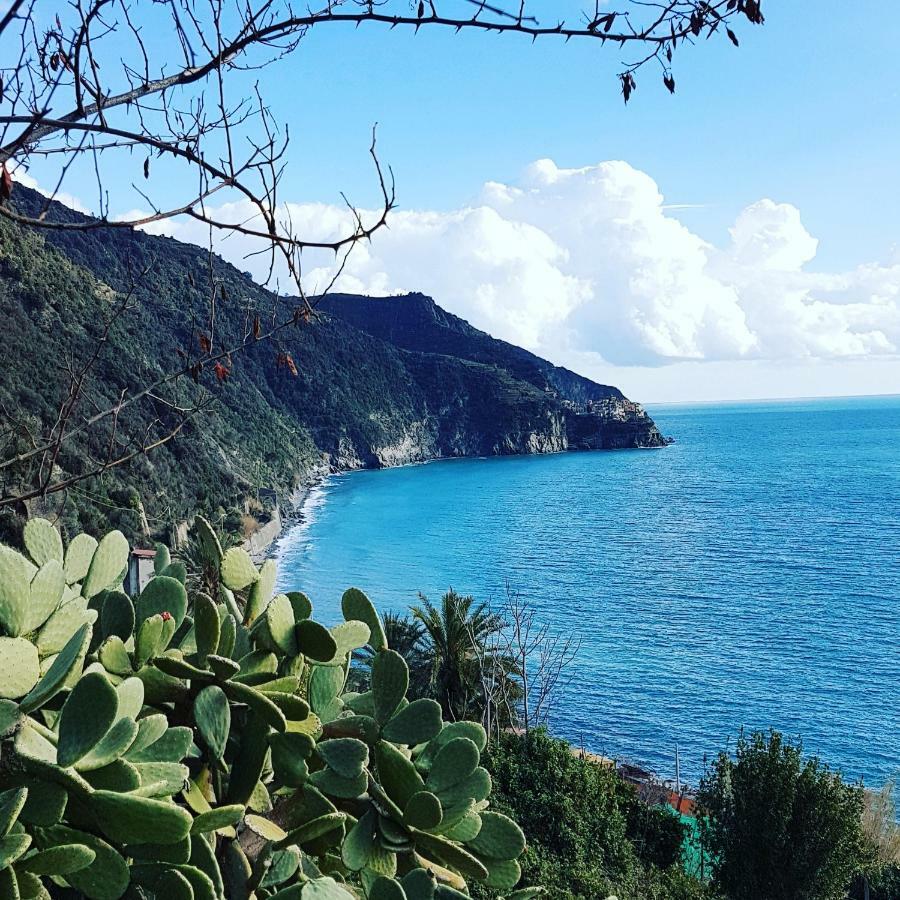 Affittacamere Il Timone Corniglia Dış mekan fotoğraf