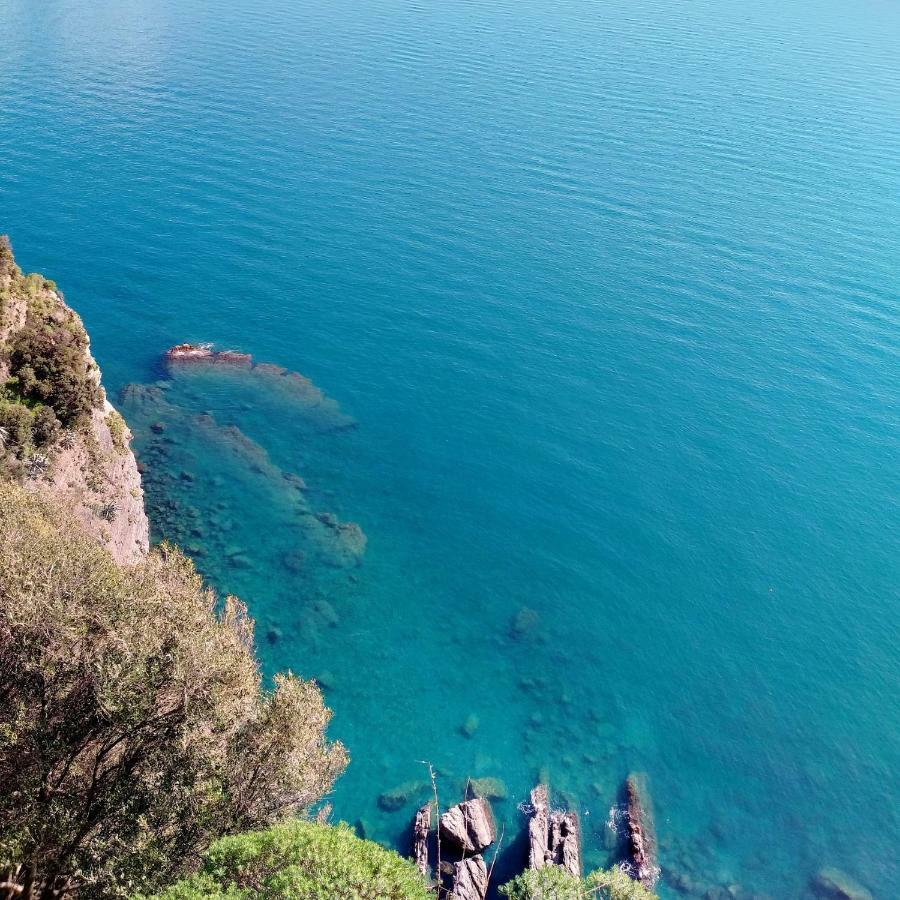 Affittacamere Il Timone Corniglia Dış mekan fotoğraf