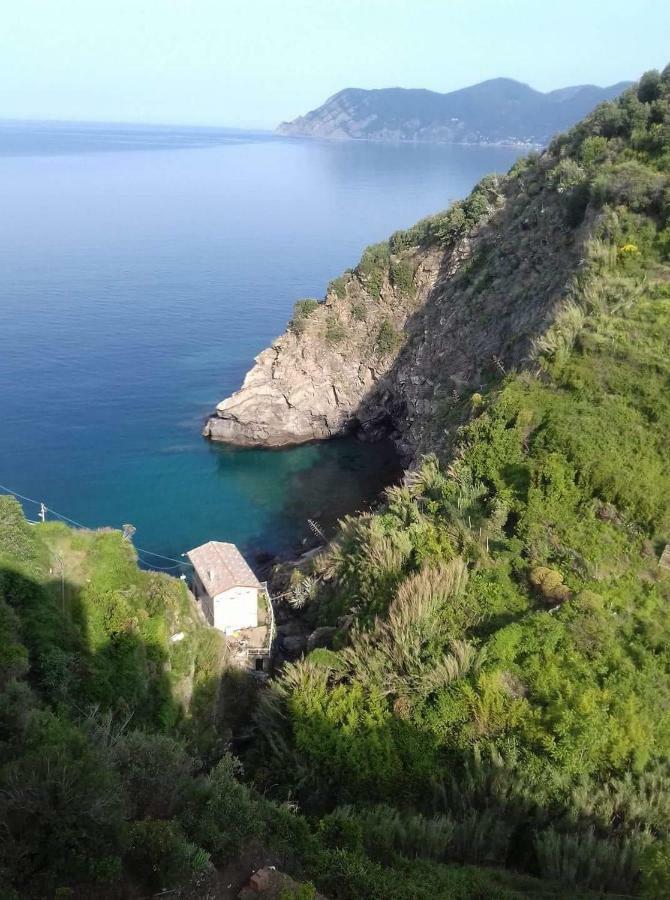 Affittacamere Il Timone Corniglia Dış mekan fotoğraf