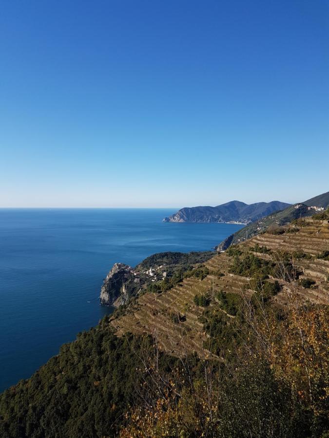 Affittacamere Il Timone Corniglia Dış mekan fotoğraf